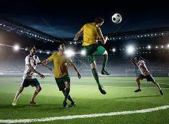 直播网红食,象群残果引,众怒,云顶娱乐集团,云顶娱乐官方,云顶娱乐登录