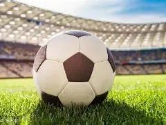 郑爽代孕弃,养事件引关,中央政法委,云顶娱乐集团,云顶娱乐官方,云顶娱乐登录