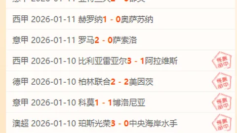 全球关注：多国反对特朗普言论，反对将巴勒斯坦民众迁离加沙计划